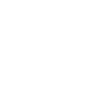 Virtual Consular Appointment to review documents